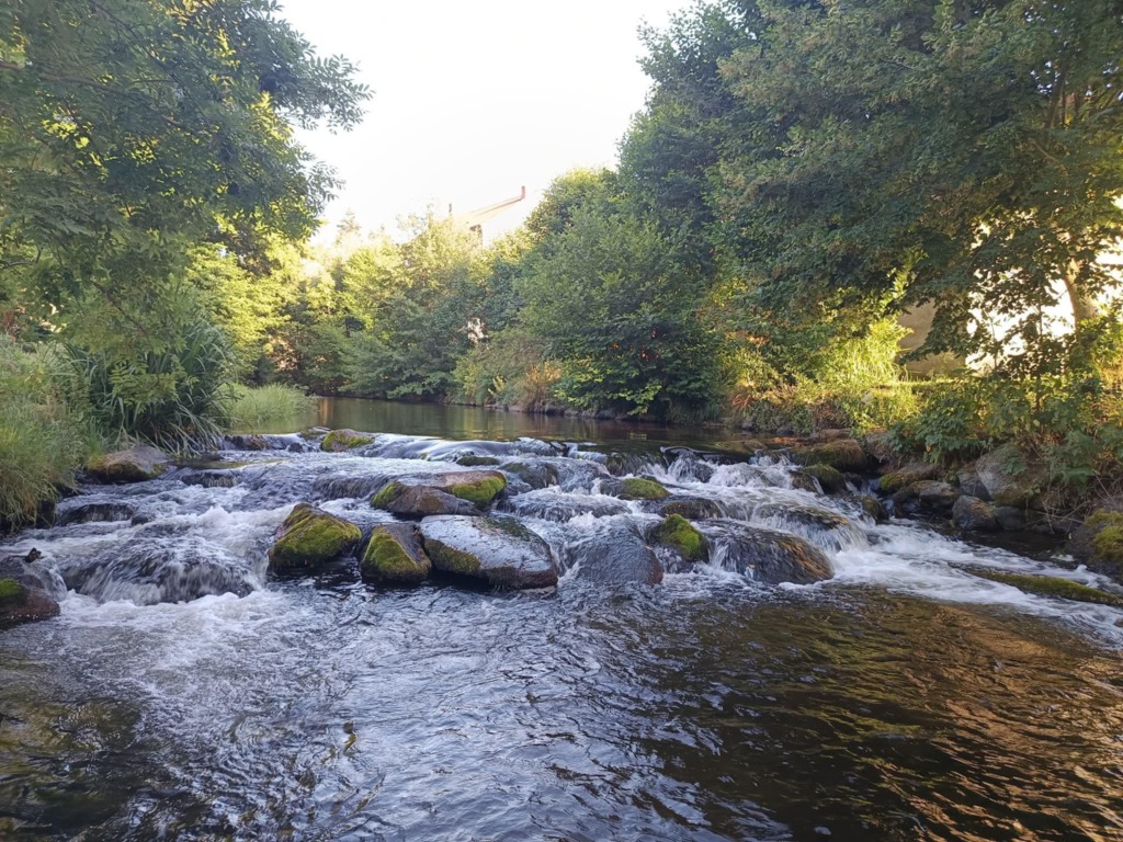 photo diplome ANNE BRUGIROUX