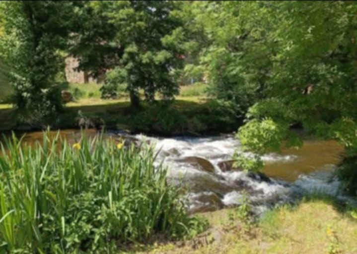 photo portrait ANNE BRUGIROUX