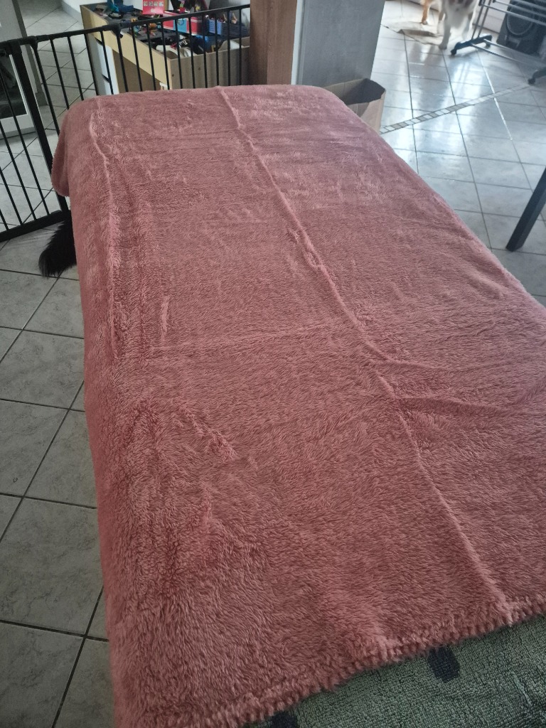 photo cabinet La Forêt enchantée de cindy