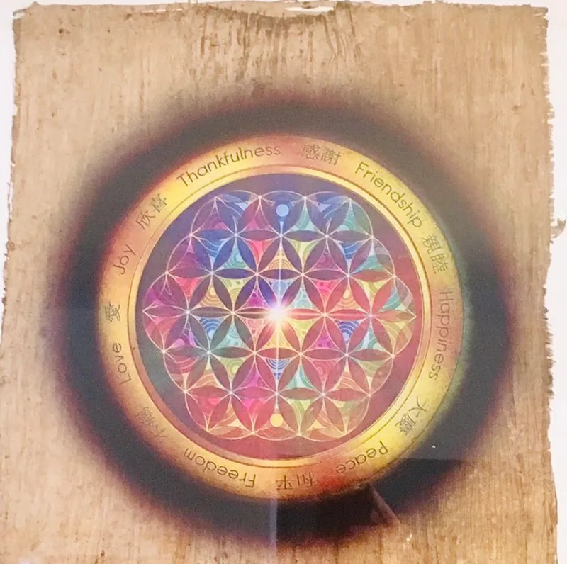 photo portrait Isabelle Limousin