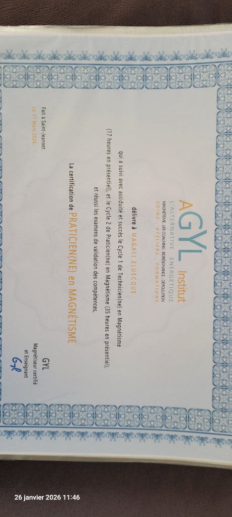 photo diplome Magmagnetisme