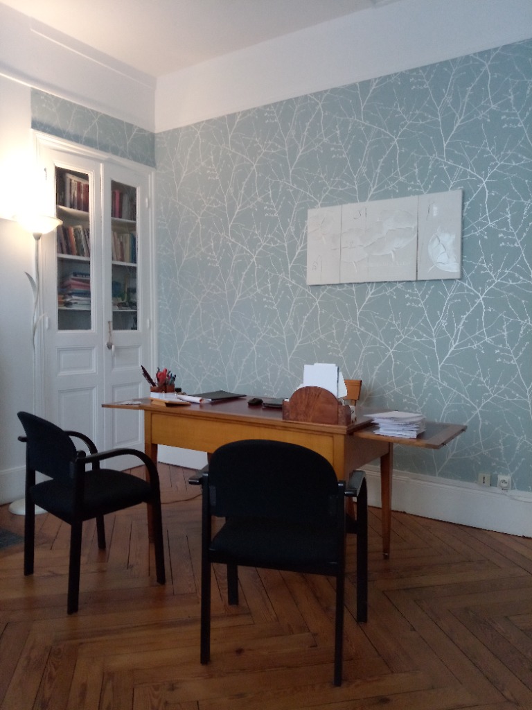 photo cabinet Charlyse magnétiseuse medium 