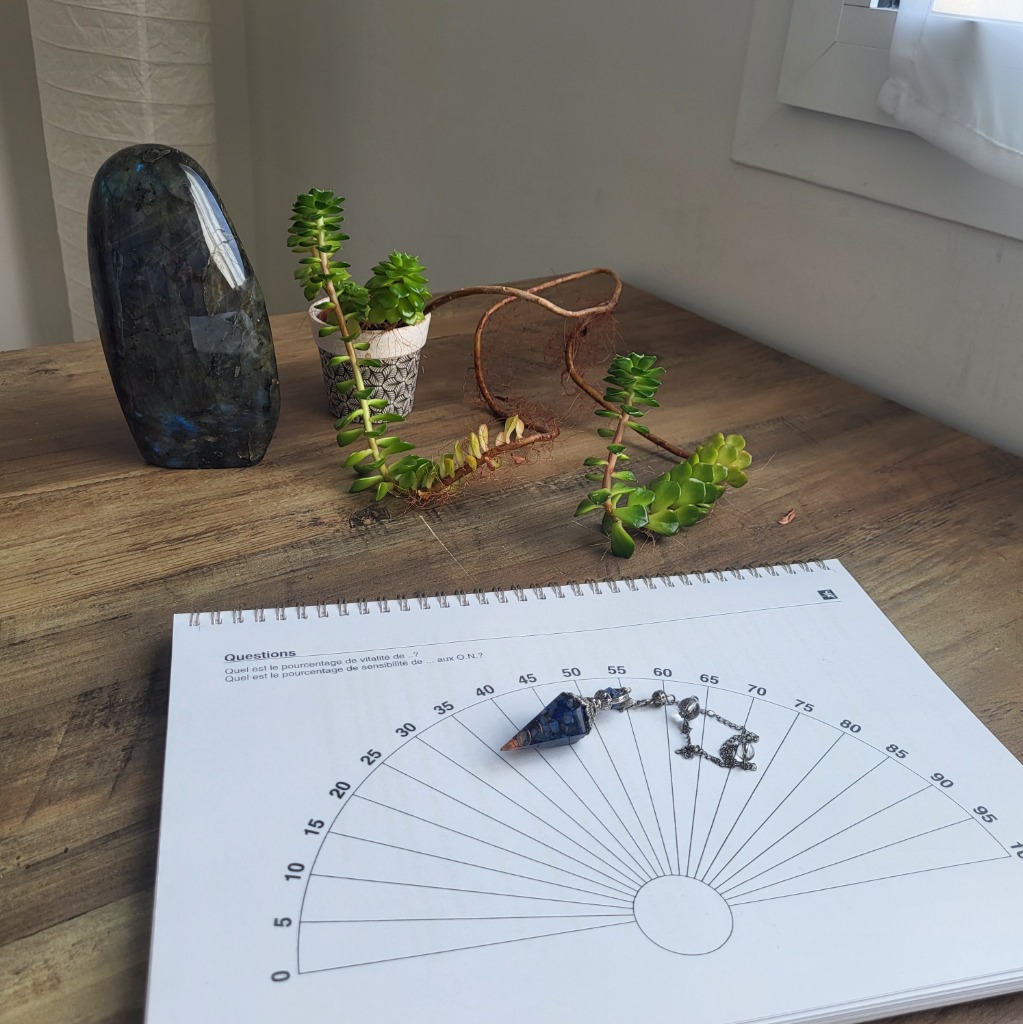 photo seance Céline Zoccola