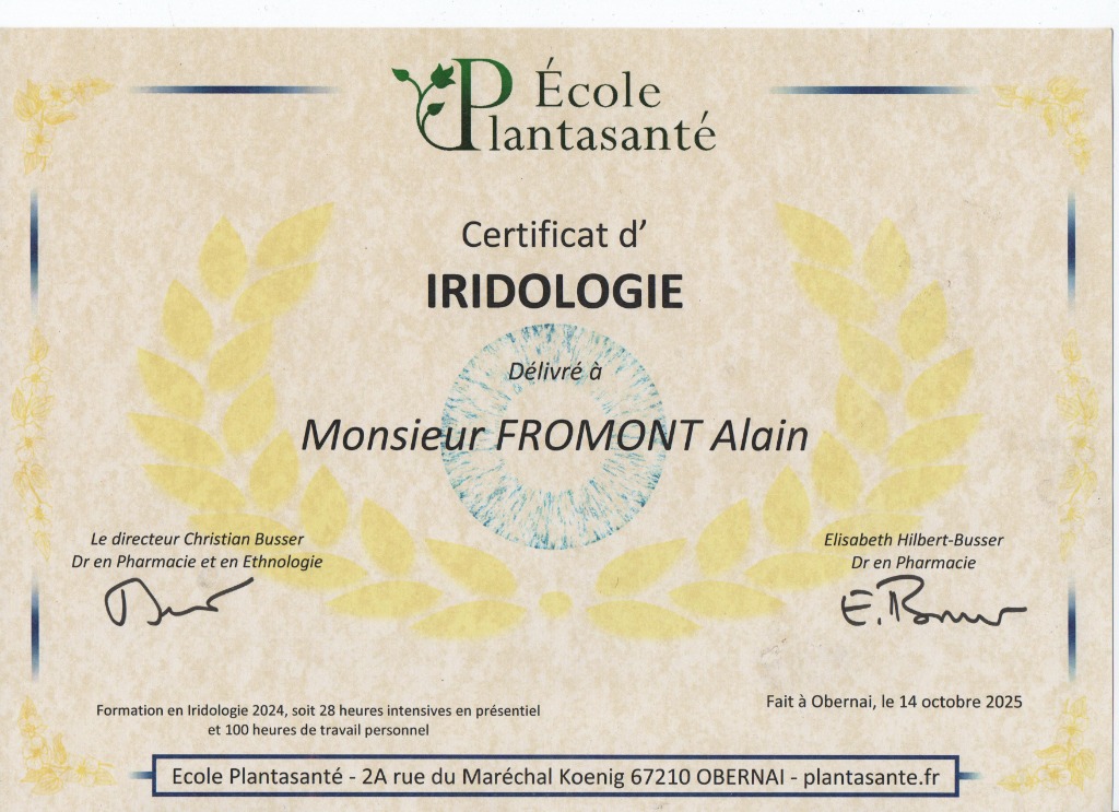 photo cabinet Alain Fromont