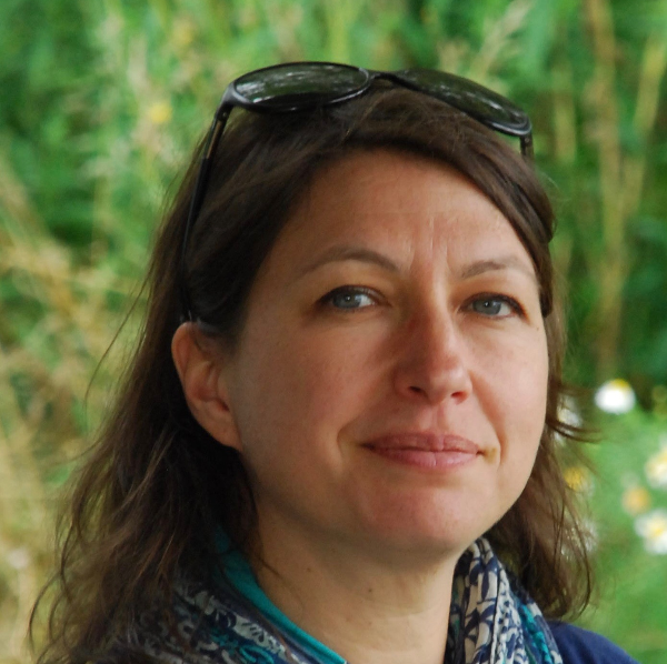 Les chemins du sensible