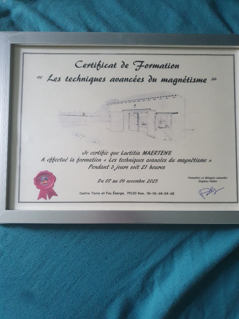 photo diplome Energies & Guidances by Léti