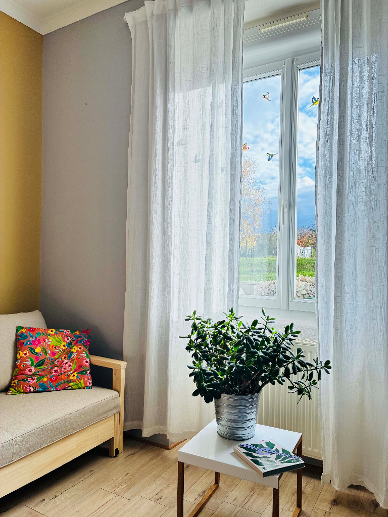 photo activite Sibel EREN