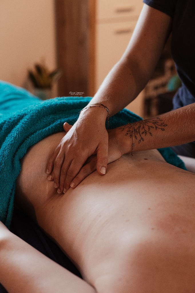 photo activite Julie Massage equin-canin-humain 