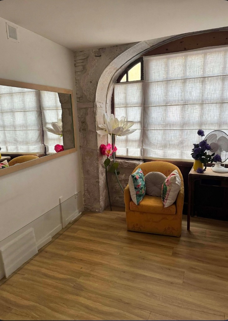 photo cabinet Julie Massage equin-canin-humain 