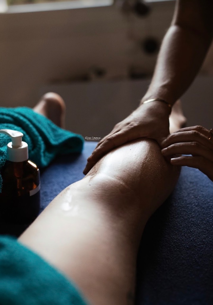 photo seance Julie Massage equin-canin-humain 