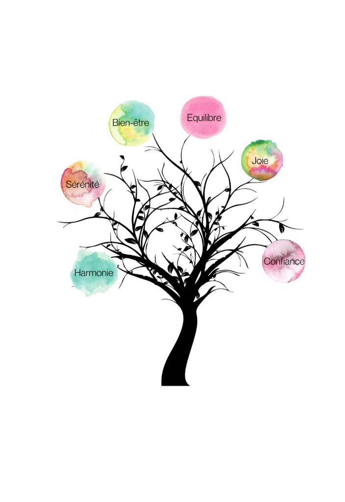 photo cabinet Elodie Loubaud