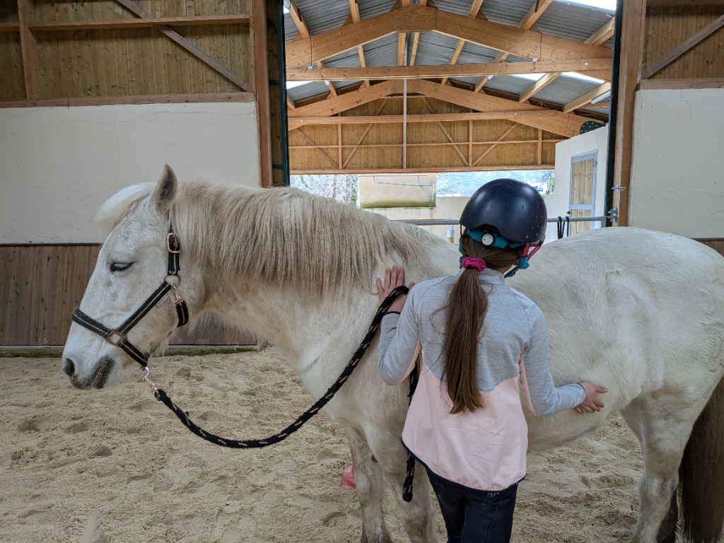 photo activite Morgane Ribes