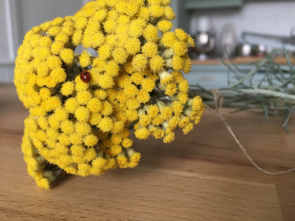 photo activite Sophie Neut Fumery