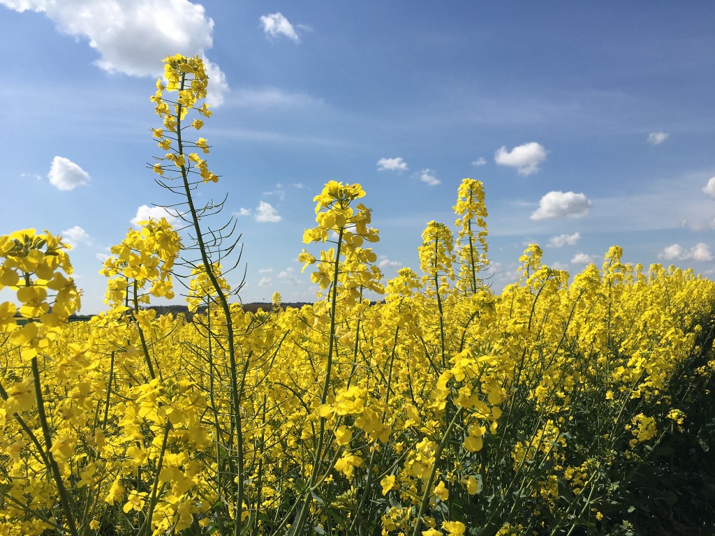 photo seance Sophie Neut Fumery