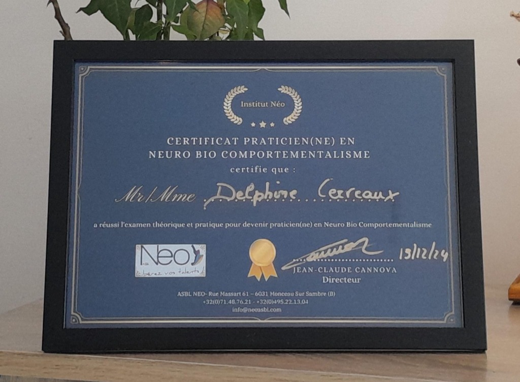 photo diplome Delphine Cerveaux - Anamnèse