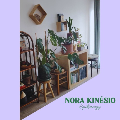 photo cabinet Nora Kinésio