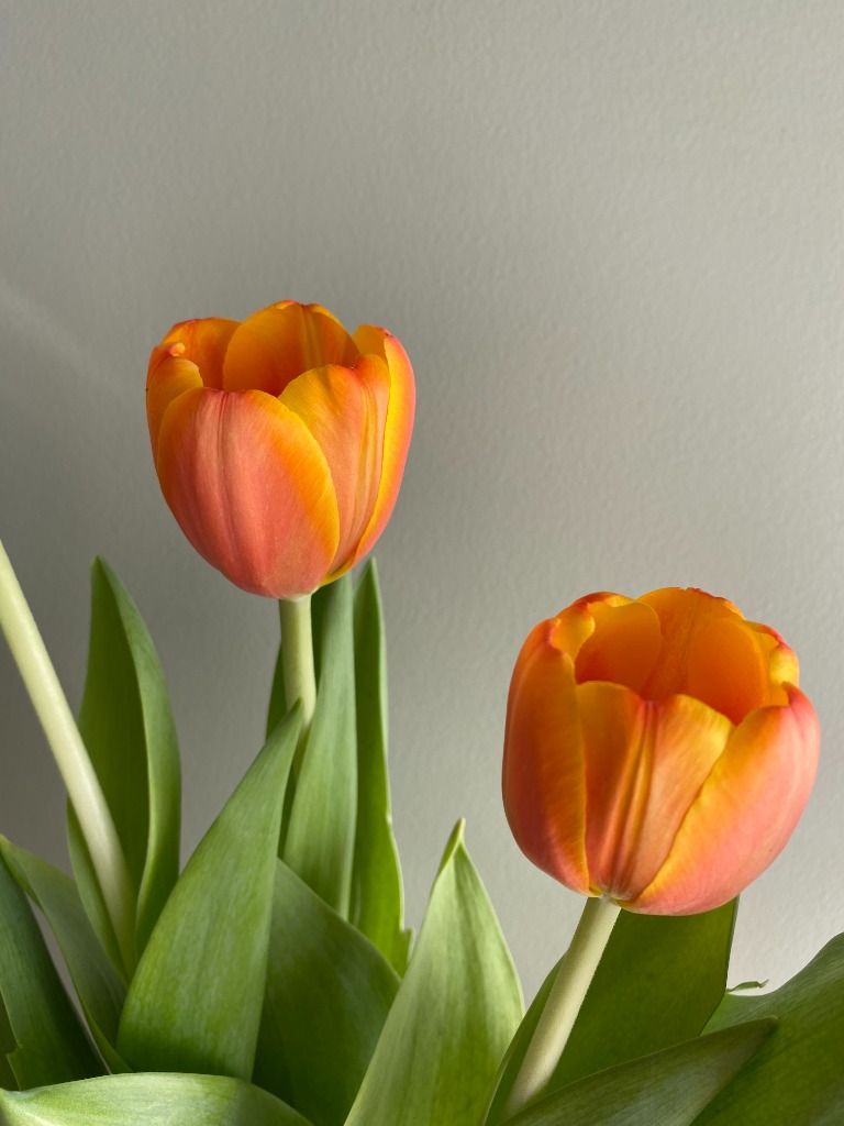 photo activite Mélanie Sánchez