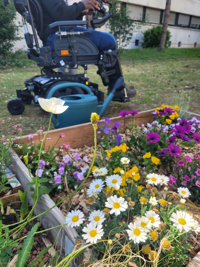 photo activite TheraTerre 