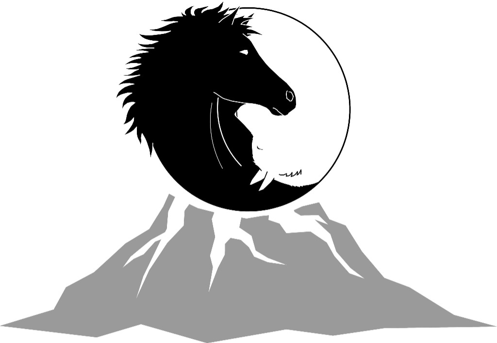 photo portrait Claire Damande