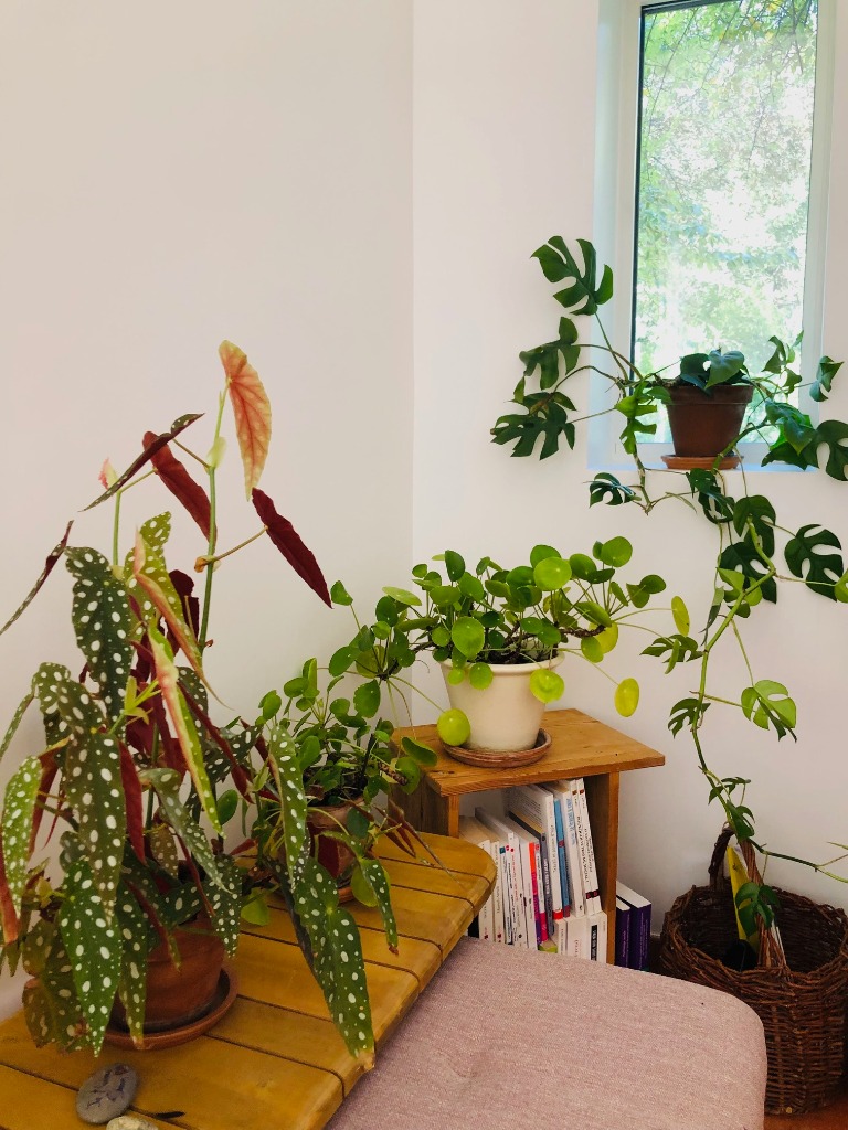 photo cabinet Céline Léon