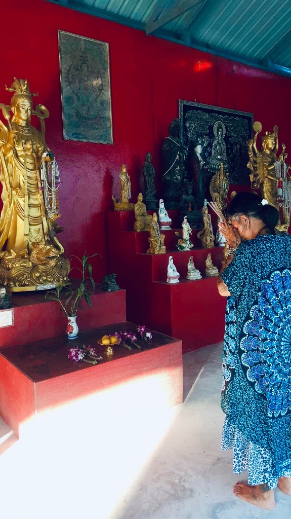 photo seance Mamma Moon