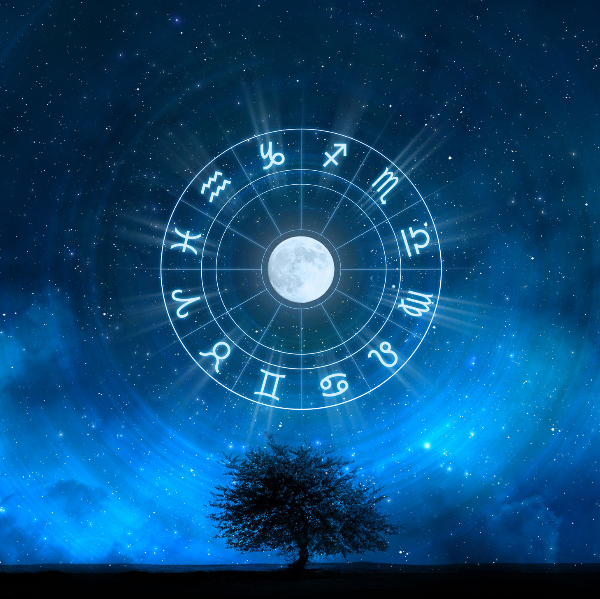 Candice Chaumette - Association L’Abeille Verte