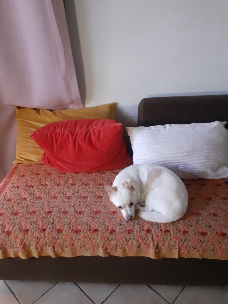 photo portrait Veronique marchiset