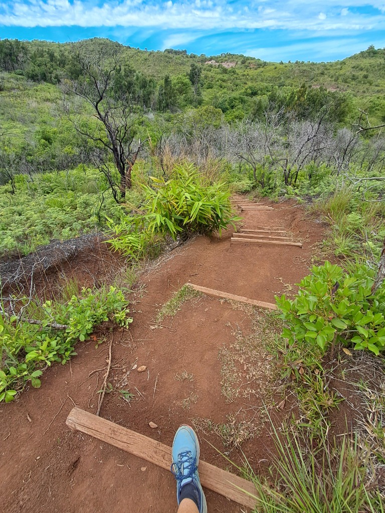 photo activite Hiljalleen Thérapie