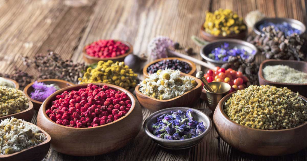 photo activite Magnolias Sarah Duval Ruteault