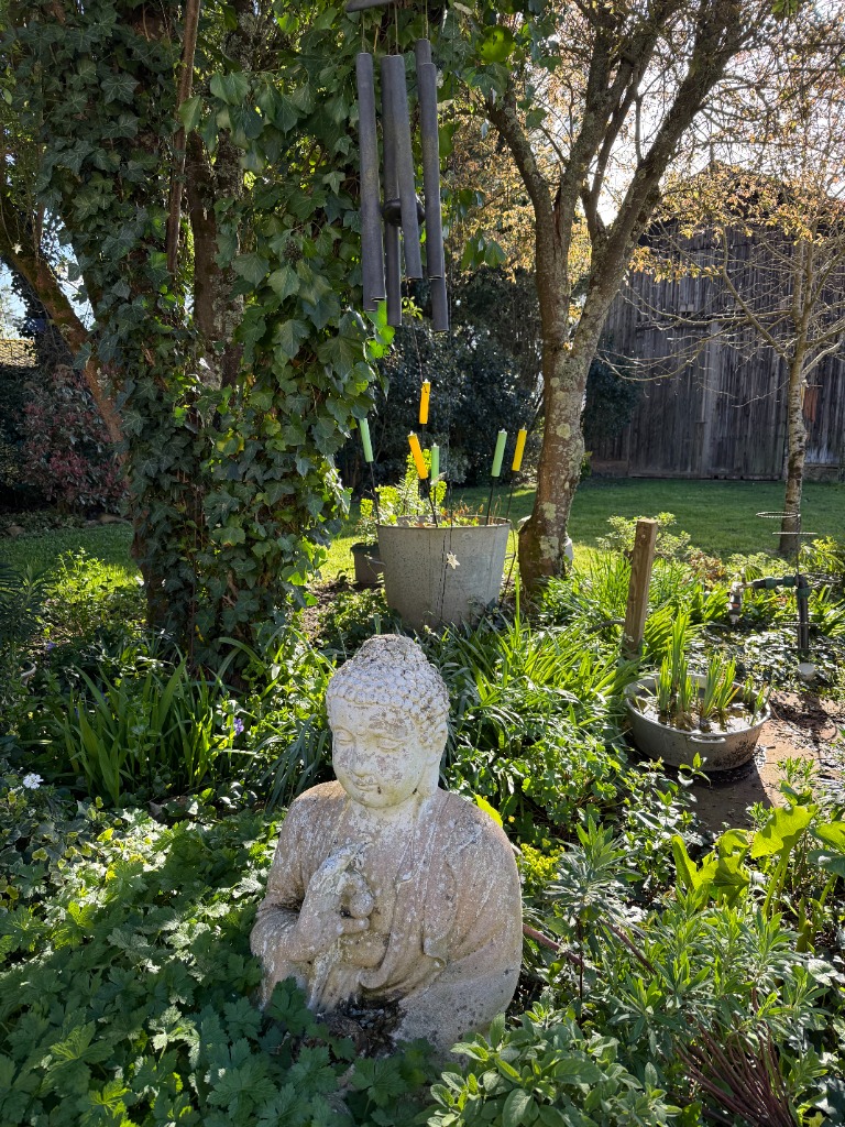 photo cabinet Amandine Polette