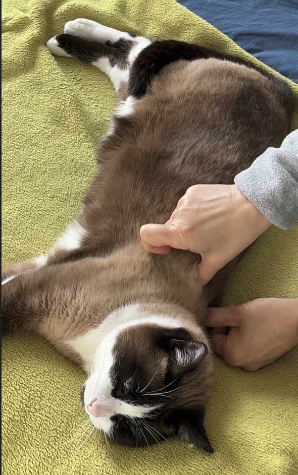 photo seance Cecile ROCHE 