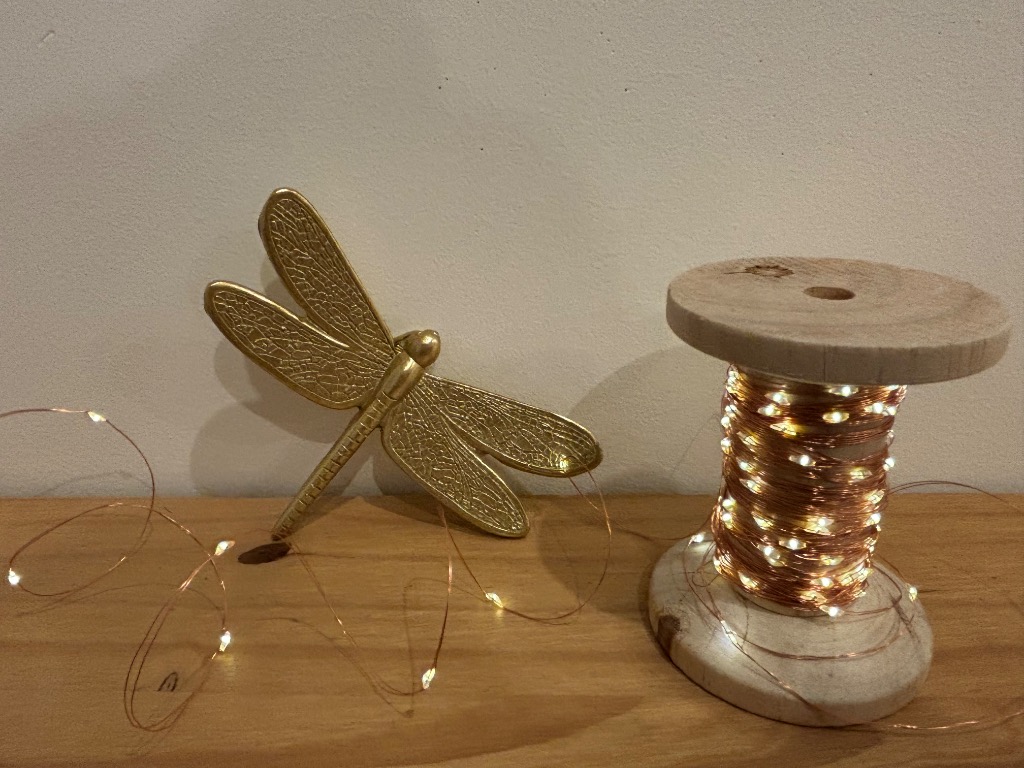 photo portrait Sophie Gardy