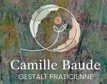photo cabinet Camille Baude