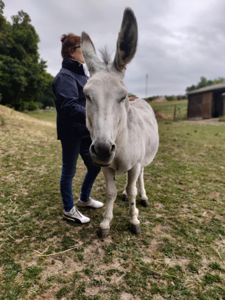 photo activite Thiercelin Justine 