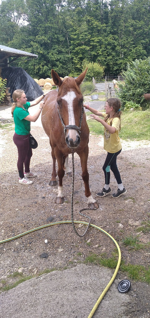 photo cabinet Thiercelin Justine 