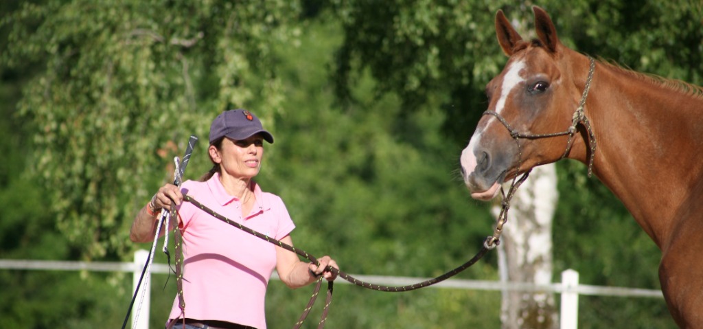 photo activite MB GIULIOLI