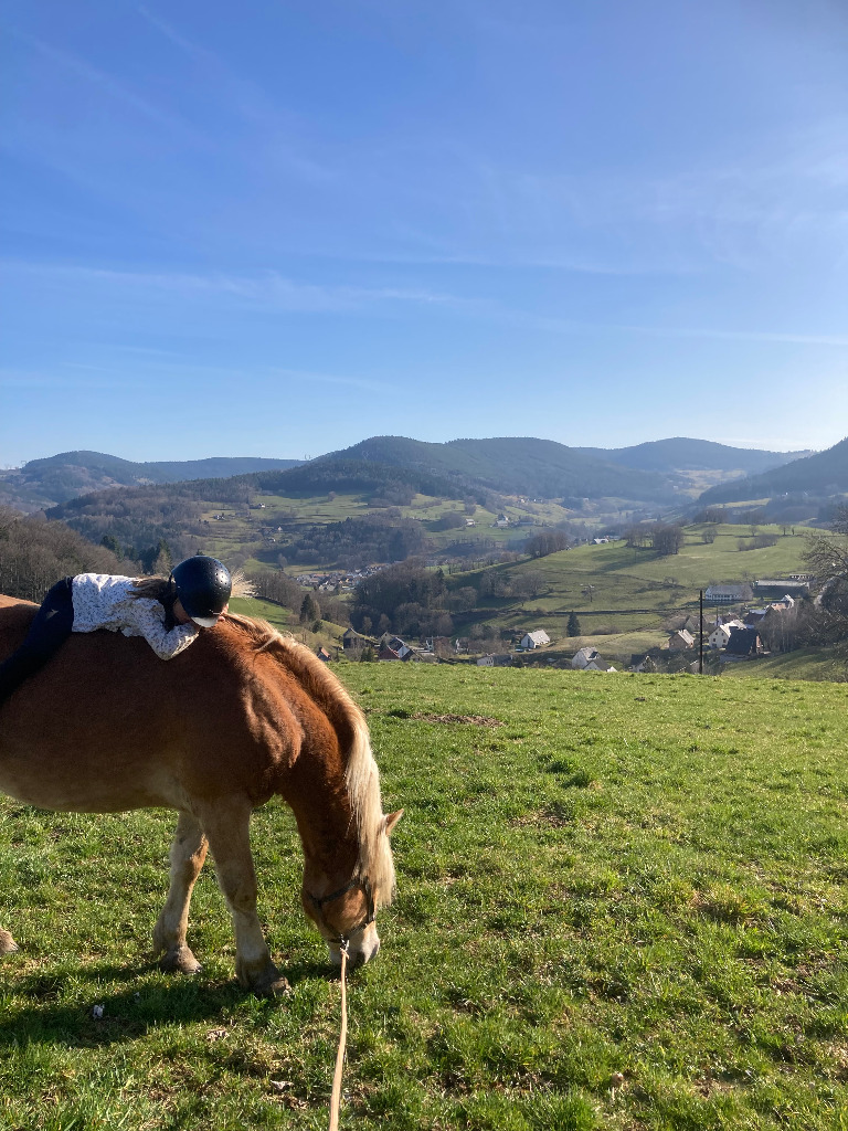 photo activite L’Ecrin d’Ousia