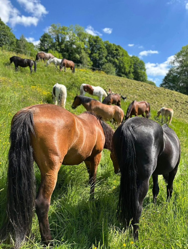 photo cabinet L’Ecrin d’Ousia