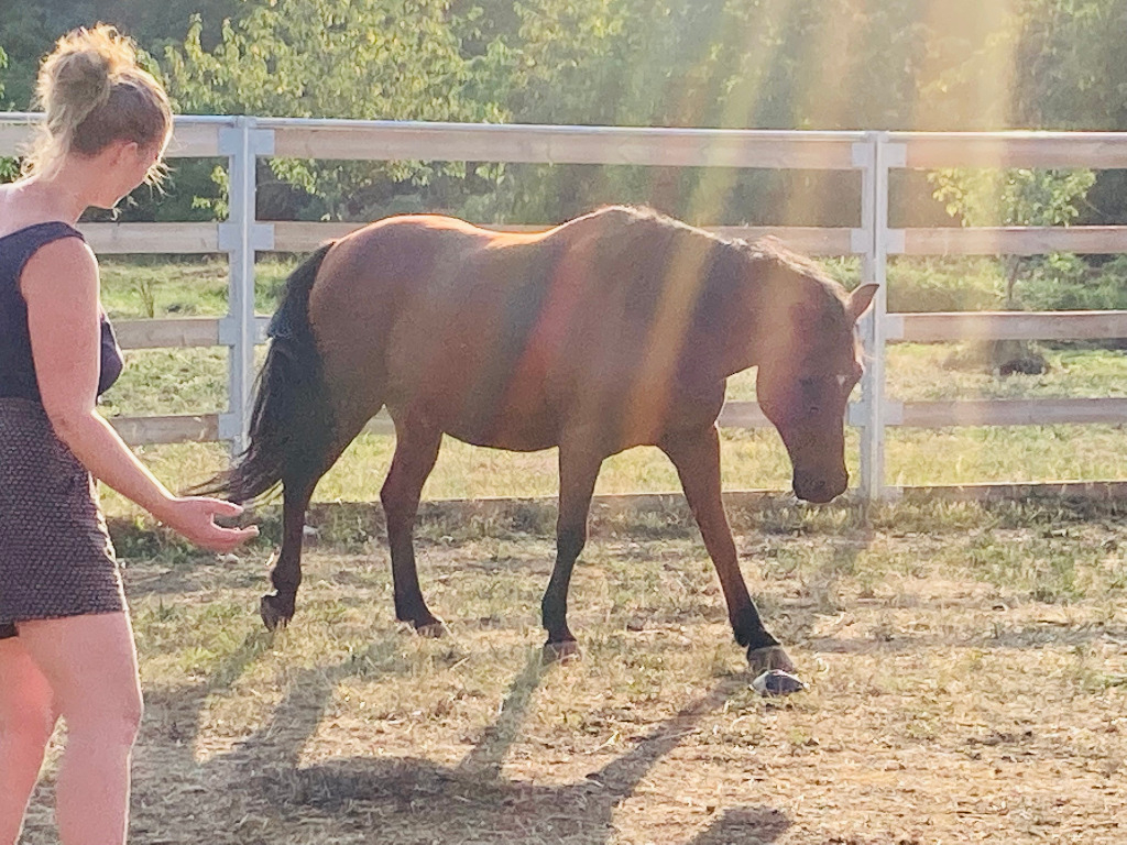 photo portrait L’Ecrin d’Ousia