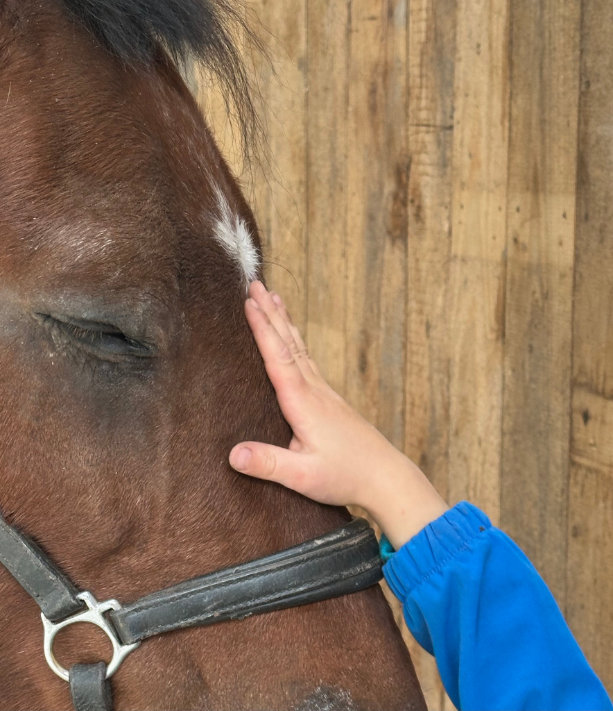 photo seance L’Ecrin d’Ousia