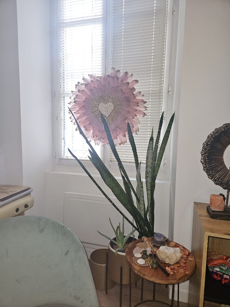 photo cabinet KOBYMOUN