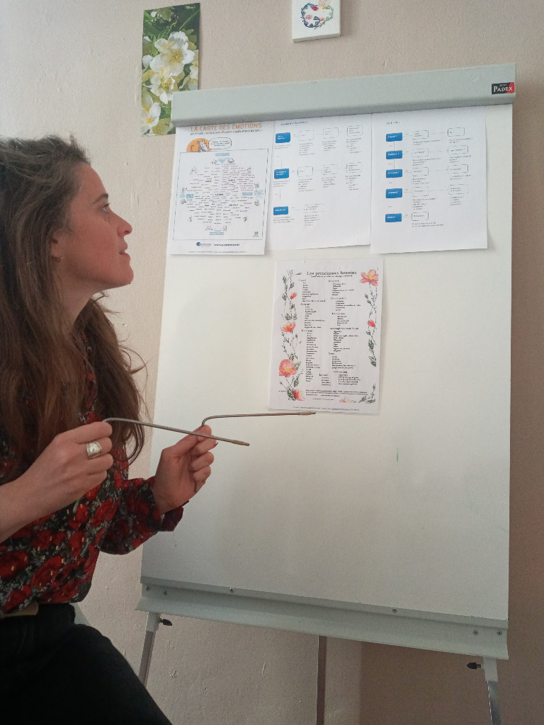 photo activite Pauline Haué