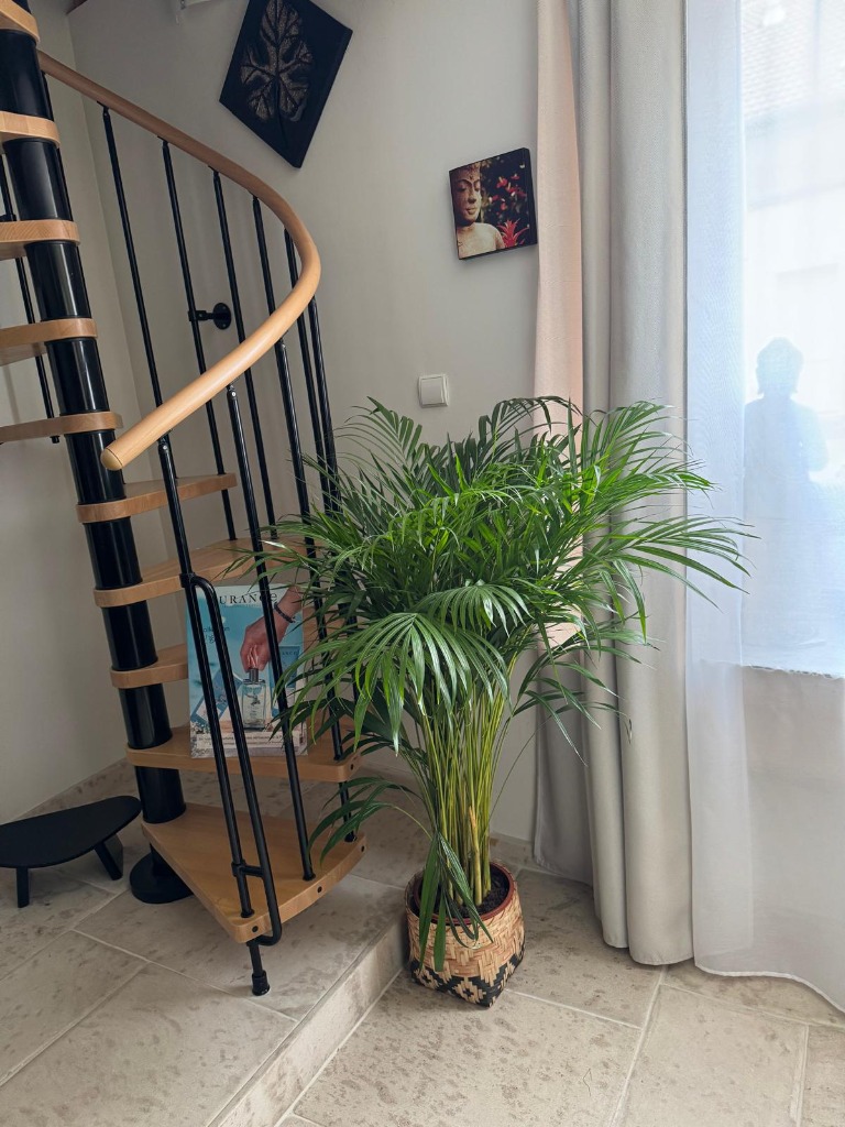 photo seance Sandrine Escolano