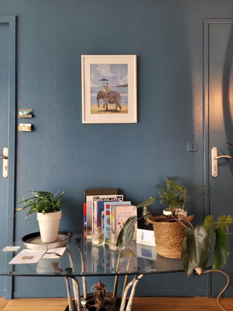 photo activite Elena Poletti TuiNa Yuan Mai Tao