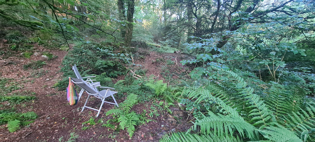 photo portrait CézÂmes - Amaya AUBERT