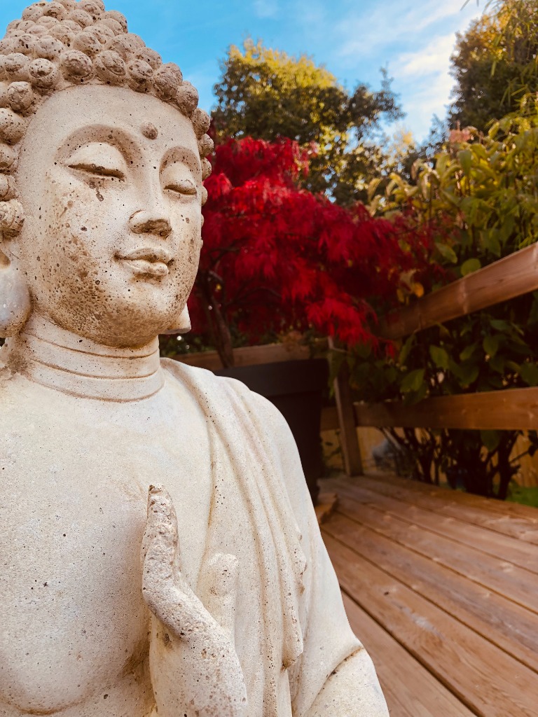 photo cabinet Annick AUBERT