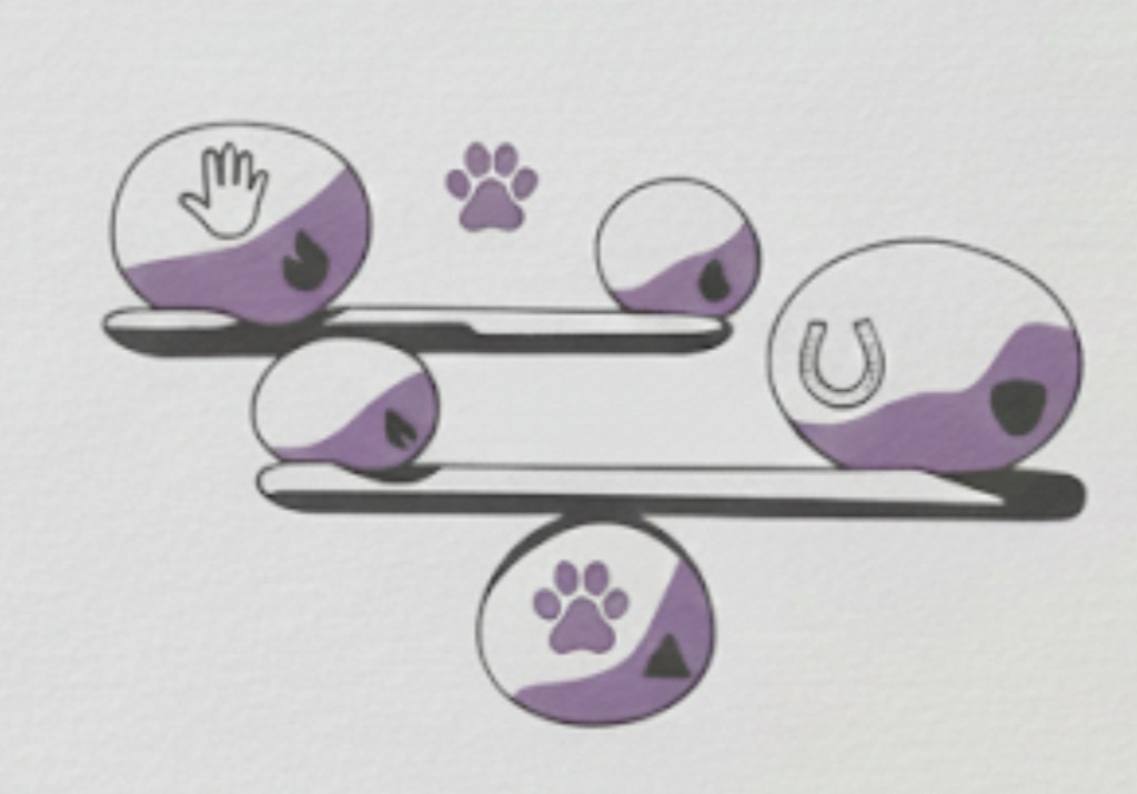 photo diplome Yokilia