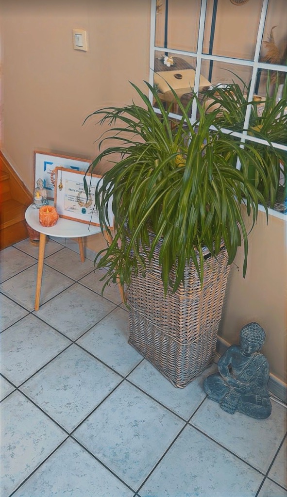 photo activite Cabinet Vibellis - Luce BONVALET