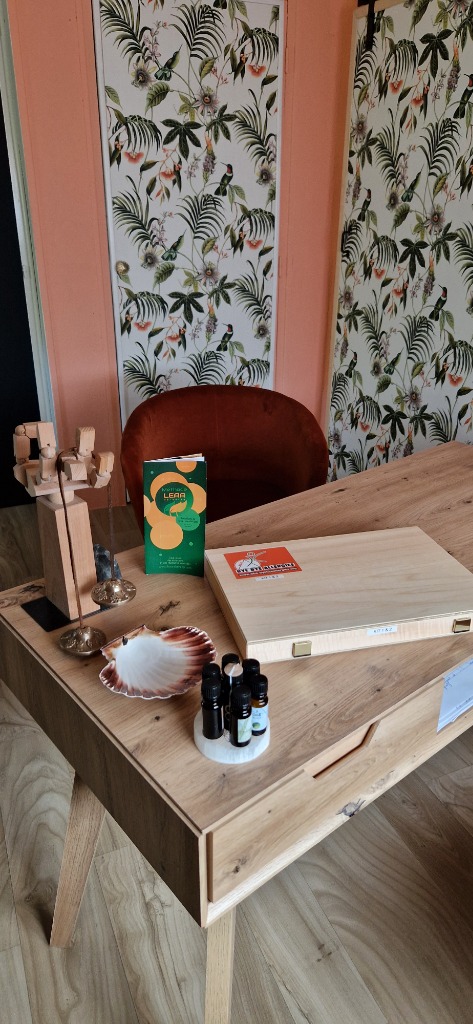 photo activite Sophie FLANDIN