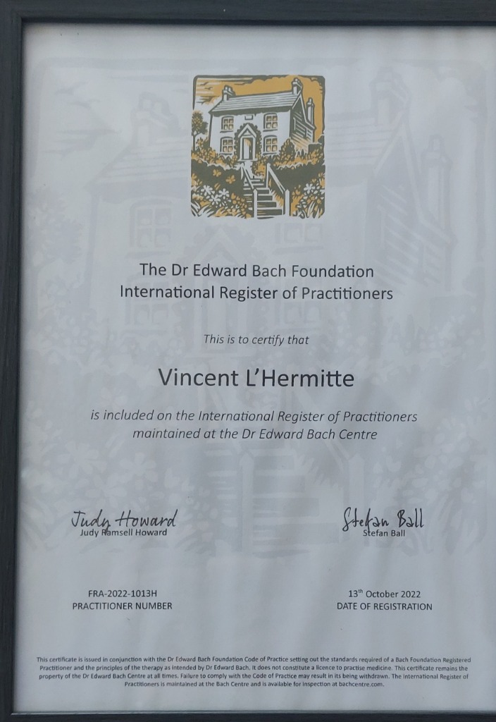 photo diplome Vincent L’Hermitte